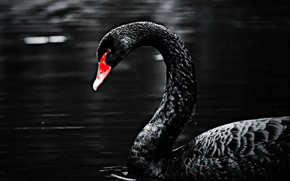 疫情下比黑天鵝更可怕的，是我們對5S凈水器的視而不見